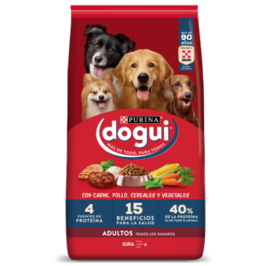 DOGUI ADULTO X 21KG